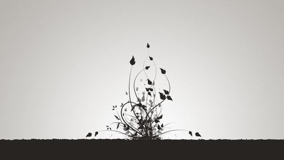 叙利亚被灭国了吗?