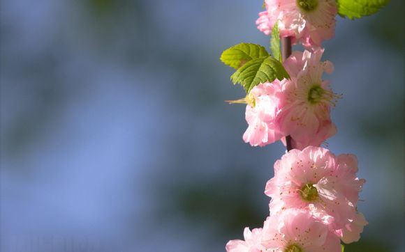 武夷山在哪里属于哪个城市啊