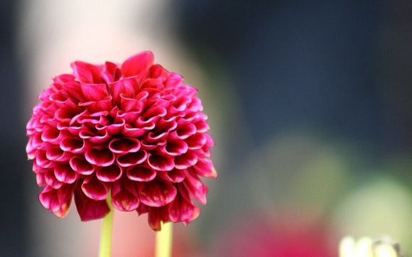 中国最长寿的人1200岁是谁